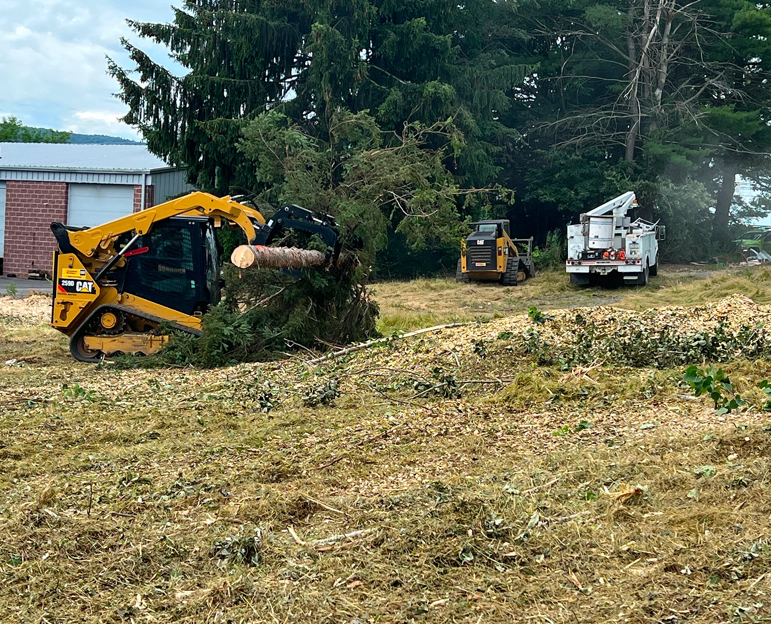 Construction machinery operating in a large dirt yard with surrounding trees.