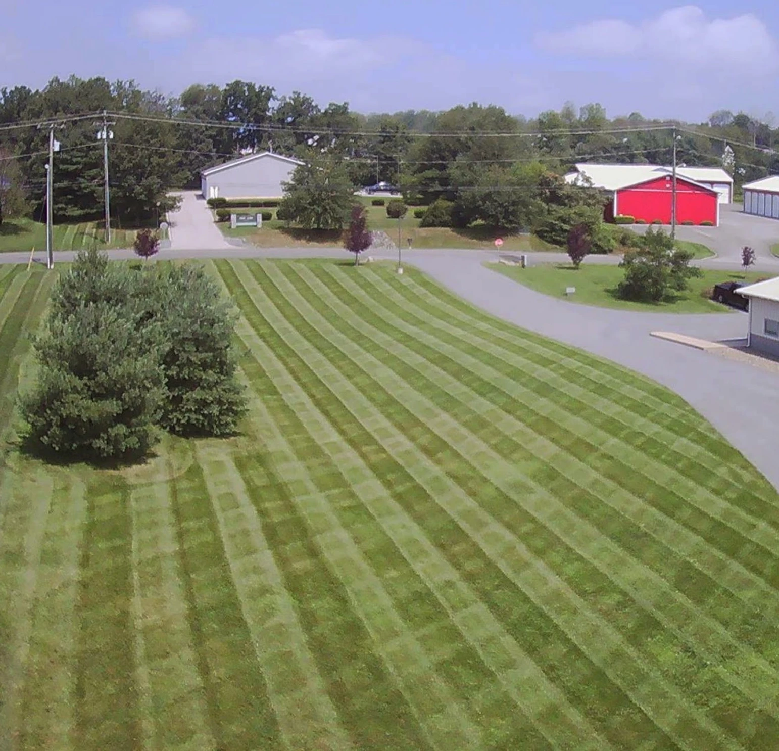 Wide angle view of a lush green lawn with neat mowing lines next to a driveway and evergreen trees.